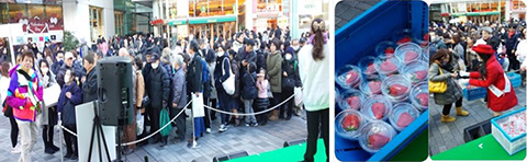 栃木県農政部生産振興課「とちぎの農産物プレミアムフェア」（2015年、有楽町駅前広場）